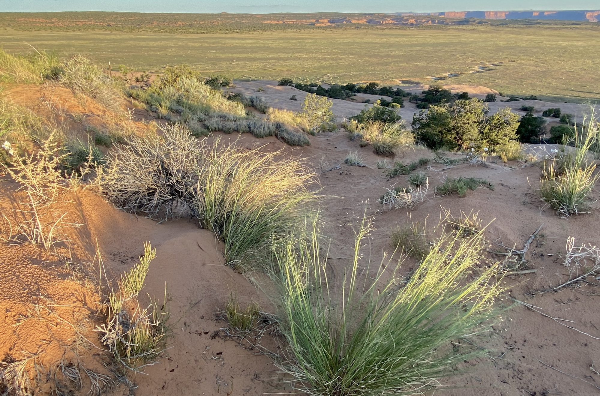 Little Home In The Valley