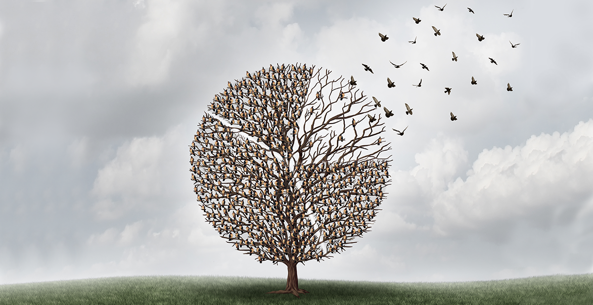 Little Home In The Valley