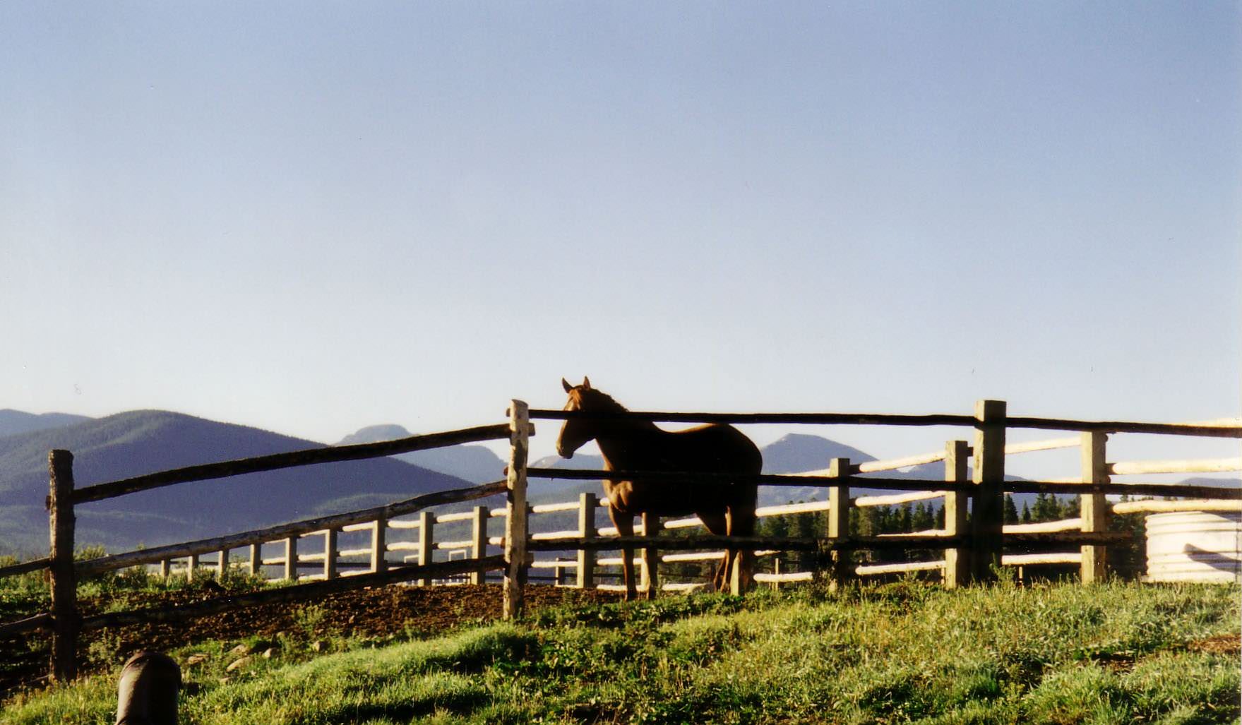 Little Home In The Valley