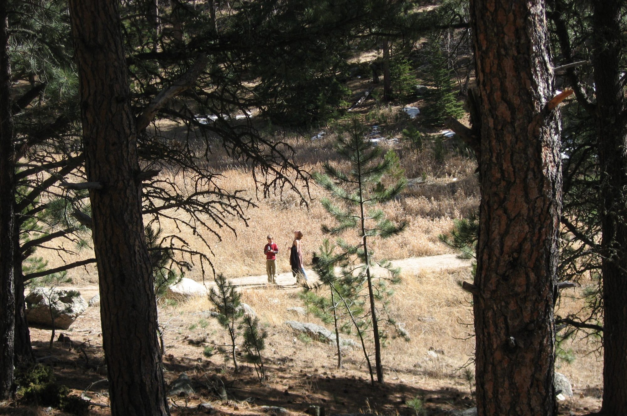 Little Home In The Valley